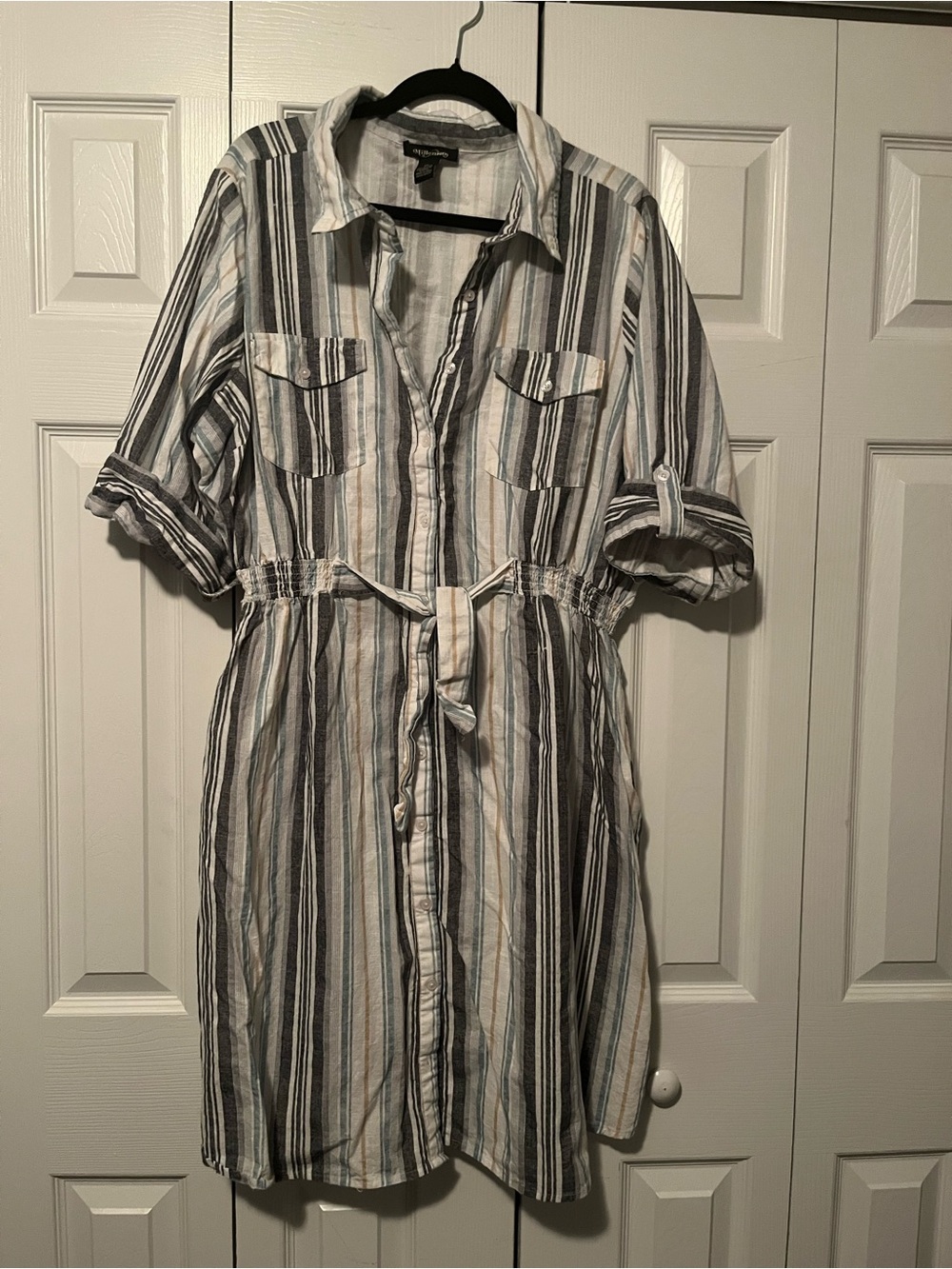 Striped Button-Front Shirt Dress in Blue & White